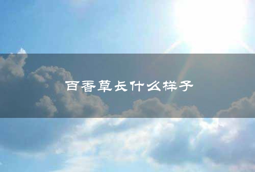 百香草长什么样子