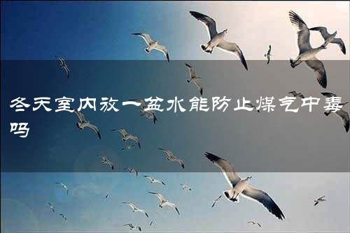 冬天室内放一盆水能防止煤气中毒吗