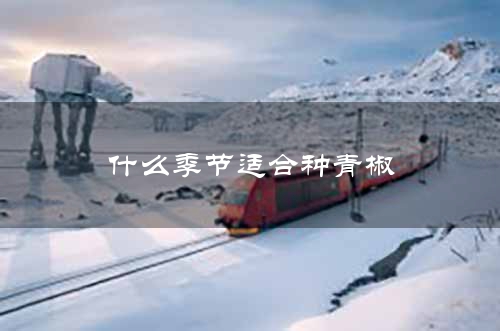 什么季节适合种青椒