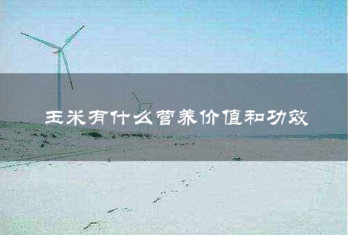 玉米有什么营养价值和功效