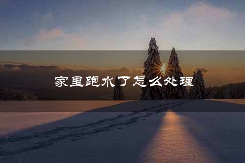 家里跑水了怎么处理