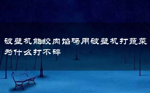 破壁机能绞肉馅吗用破壁机打蔬菜为什么打不碎