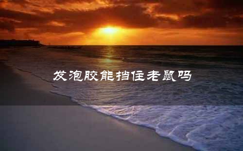发泡胶能挡住老鼠吗
