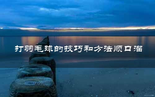 打羽毛球的技巧和方法顺口溜
