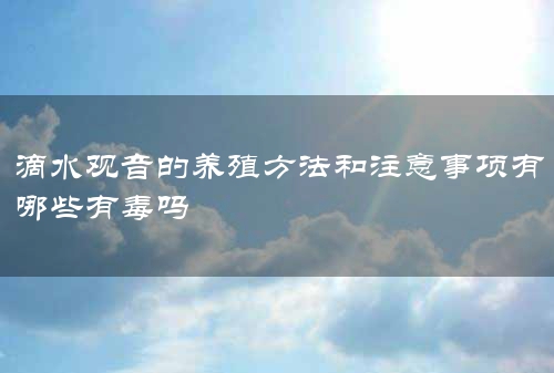 滴水观音的养殖方法和注意事项有哪些有毒吗