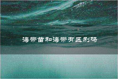 海带苗和海带有区别吗