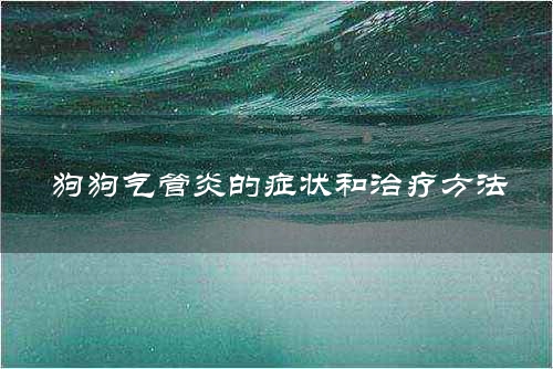 狗狗气管炎的症状和治疗方法