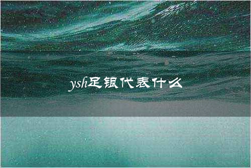 ysh足银代表什么