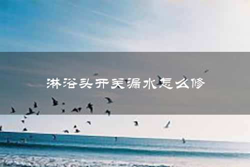 淋浴头开关漏水怎么修