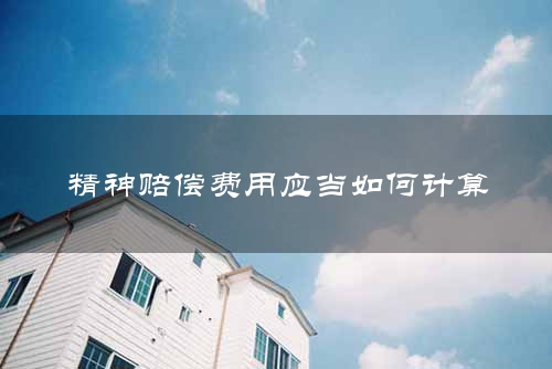 精神赔偿费用应当如何计算