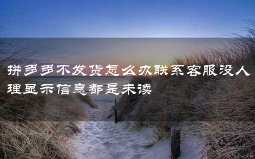 拼多多不发货怎么办联系客服没人理显示信息都是未读