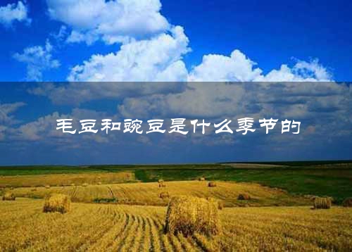 毛豆和豌豆是什么季节的